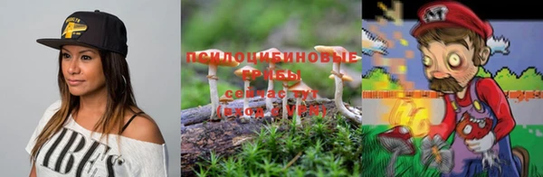 Альфа ПВП Алзамай