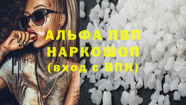 СК Алексин