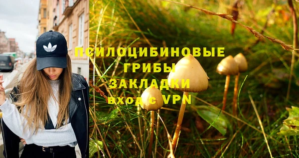 Альфа ПВП Алзамай