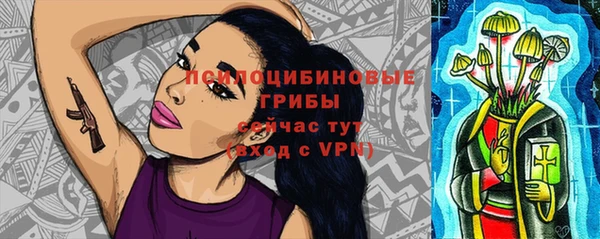 СК Алексин