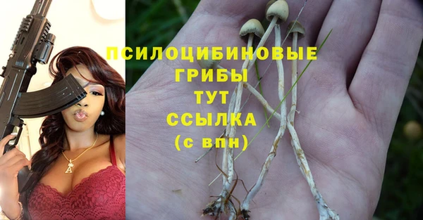 СК Алексин