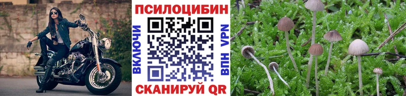 Псилоцибиновые грибы мухоморы  мориарти клад  Гаврилов Посад 